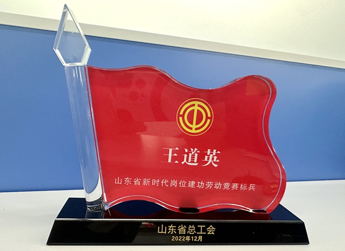 人生就是博(中国区)官方网站员工王道英荣获2022年度山东省新时代岗位建功劳动竞赛标兵称号